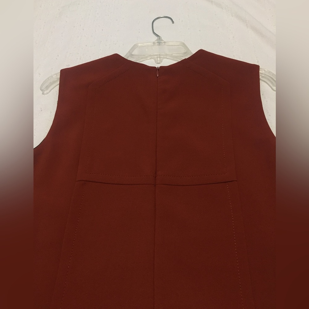 ZARA Rust Mini Dress - Picture 8 of 11